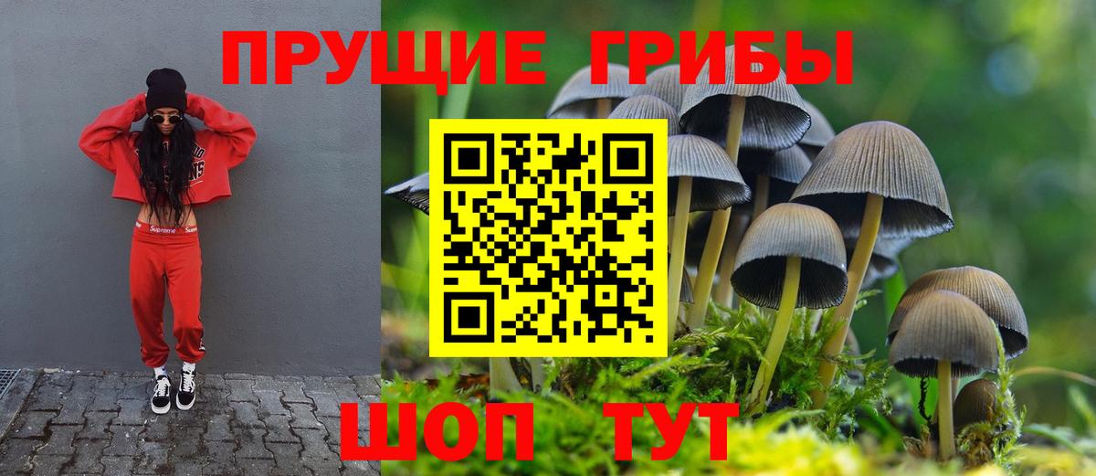 Аша  Галлюциногенные грибы ЛСД  Галлюциногенные грибы GOLDEN TEACHER  Вход с VPN 