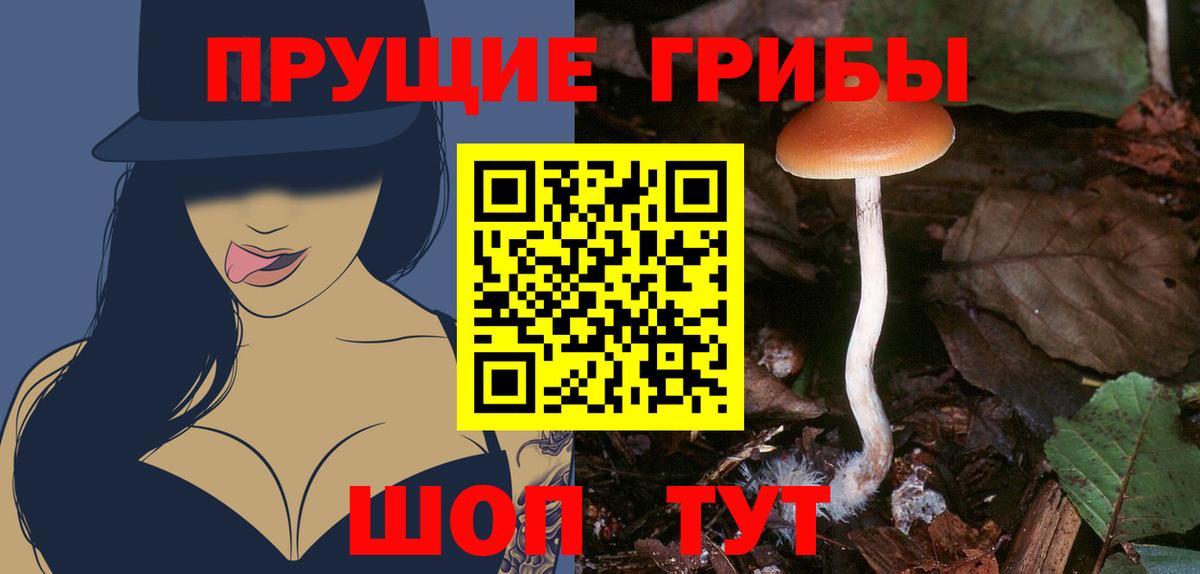 Галлюциногенные грибы прущие грибы Аша